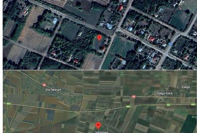 Casă cu 1 camere cu Teren 1977 Mp în Dor Mărunt - 3