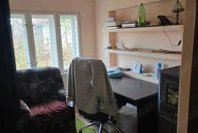 Casă cu 3 camere cu Teren 2500 Mp în Pietroasa - 13