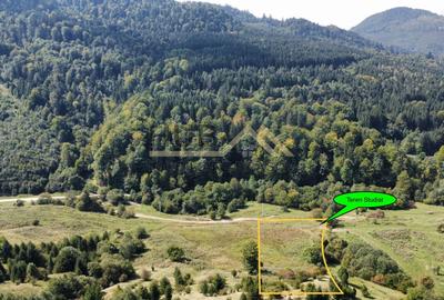 Teren agricol extravilan de 5300 mp, în Cheile Râșnoavei - 3