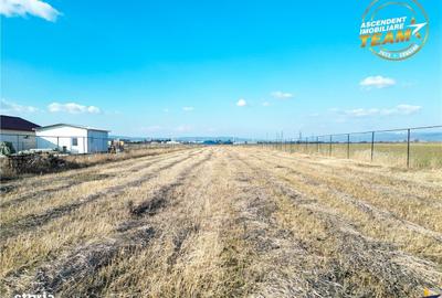 Spațiu comercial, în Chilieni - 6