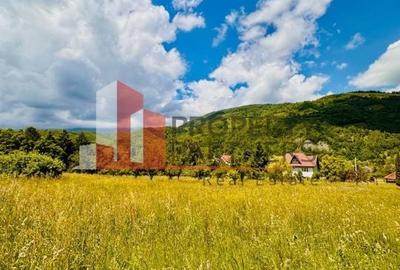 Teren de la 2772 mp Podul Simonului- Bran - 11