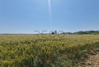 Teren de 4110 mp, în Fughiu