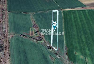 Teren agricol extravilan de 11400 mp, în Zimandu Nou - 2