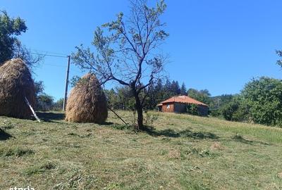 Teren de 10378 mp, în Pietriceaua - 1