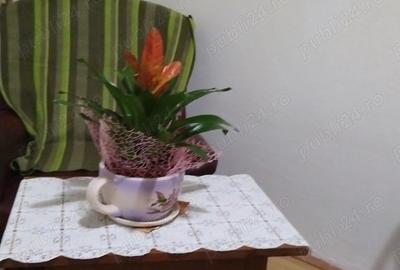 Inchiriez garsniera - 8