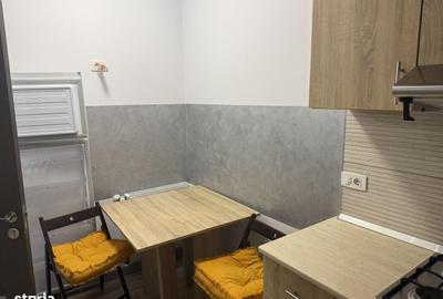 Apartament cu 2 camere în Obcini - 9