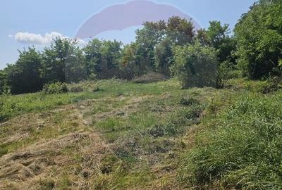 Teren  intravilan  de vanzare Oras  Saliste  Strada Livezii Jud. Sibiu - 18