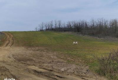 Spațiu comercial, în Leșile - 2