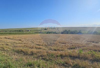 Teren Construcții intravilan de 7500 mp, în Moara Carp - 8