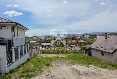 Teren agricol intravilan de 477 mp, în Dezmir - 2