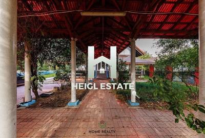 Spatii de birouri in zona Freidorf - 17