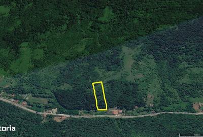 Teren de 1413 mp, în Vețel - 8