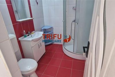 Apartament cu 2 camere decomandat în Cetate - 10