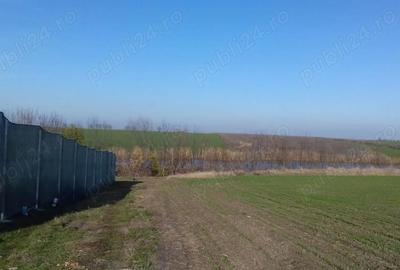 Teren de 1400 mp, în Surlari