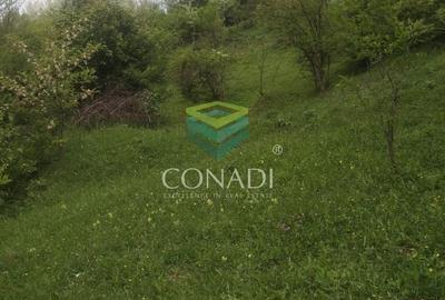 Teren Construcții intravilan de 800 mp, în Exterior Vest - 9