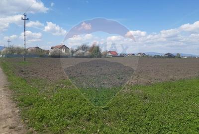 Teren Construcții intravilan de 5460 mp, în Stupini - 10