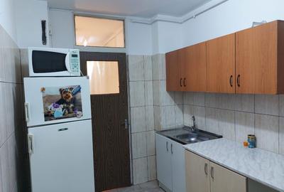 Apartament cu 2 camere decomandat în Costin Georgian - 2