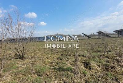 Teren de 978 mp, în Drăguțești - 3