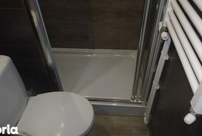 Garsonieră în Dacia - 11