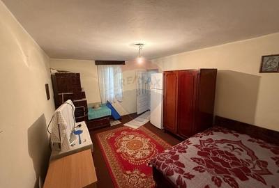 Casa de vanzare Almaj , sat Bogea  4505 mp teren- Negociabil - 10