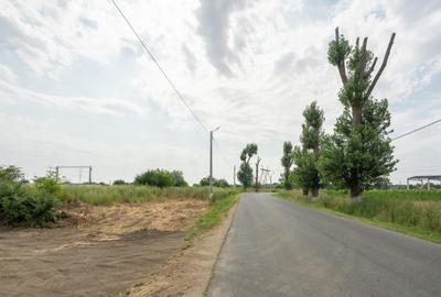 Teren de 30000 mp, în Cernica - 9