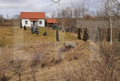 Casă cu 3 camere cu Teren 2000 Mp în Arcuș - 10