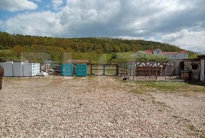 Spațiu comercial, de 6,800 mp, în Central - 14