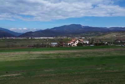 Teren de 6581 mp, în Jiblea Nouă - 5