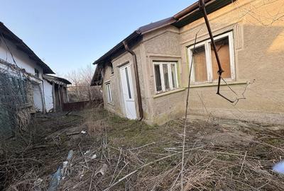 Casă cu 4 camere cu Teren 6294 Mp în Cerbu - 6