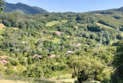 Teren de 70290 mp, în Meteș - 14