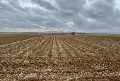 Teren de 2500 mp, în Horodnic - 4