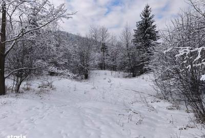 Spațiu comercial, în Sucevița - 1