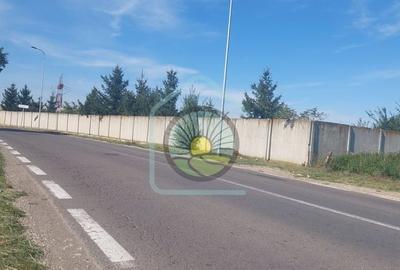 TEREN STUPINI BRASOV - 9