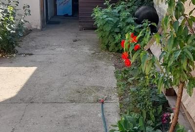 Casă cu 2 camere cu Teren 970 Mp în Central - 3