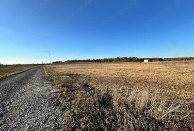 Teren de 775 mp, în Moșnița Veche - 2