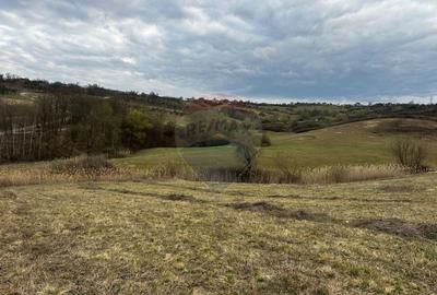 Teren agricol extravilan de 5240 mp, în Berchezoaia - 6