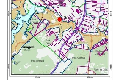 Teren Intravilan Construibil  GRUIU ILFOV - 5