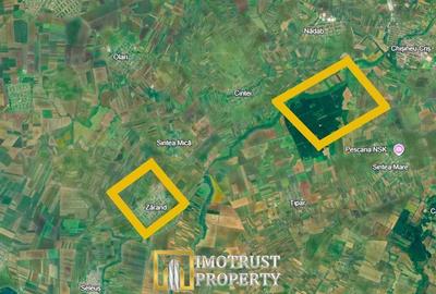 Teren de 33.91 mp, în Zărand - 1