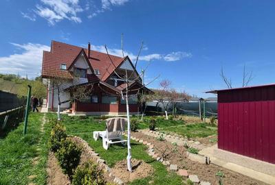 Casă cu 4 camere în Central - 1