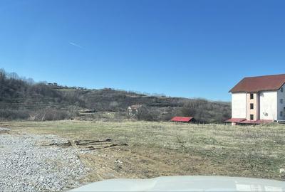 Spațiu comercial, în Băile Felix - 2