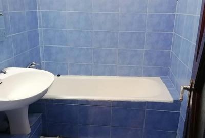 Apartament de inchiriat cu 1 camera in cartierul Buna Ziua - 2