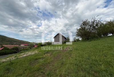 Teren Construcții intravilan de 2100 mp, în Căianu - 3