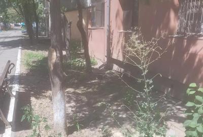 Apartament cu 3 camere decomandat în Păcurari - 1