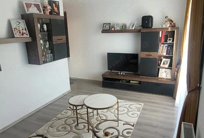Apartament cu 3 camere decomandat în Calea Urseni - 8