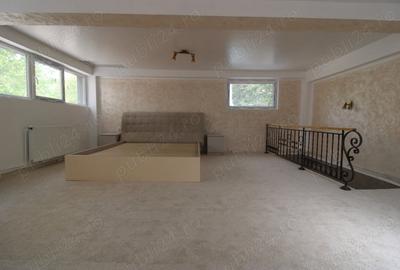 Spațiu comercial, de 60 mp, în Siderurgiștilor - 6