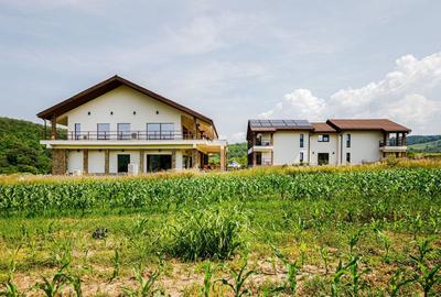 De vanzare pensiune in Sasca Montana - clasificare 3 margarete - 47