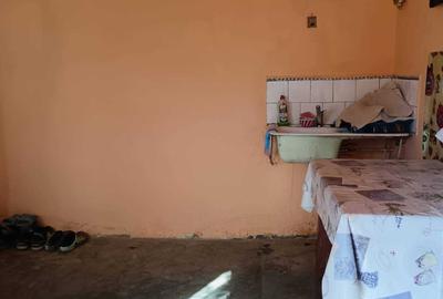 Casă cu 4 camere în Bulzești - 7