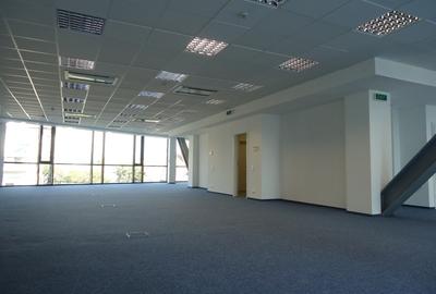 Muncii, Delea Veche 24 - comision 0%, reprezentam proprietarul! - 8