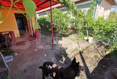 Casă cu 2 camere cu Teren 331 Mp în Turda - 3