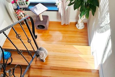 Proprietate Piatra Neamt - Casa eleganta/Camin de suflet - 18